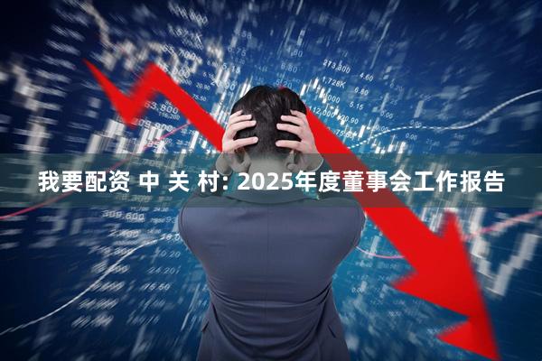 我要配资 中 关 村: 2025年度董事会工作报告