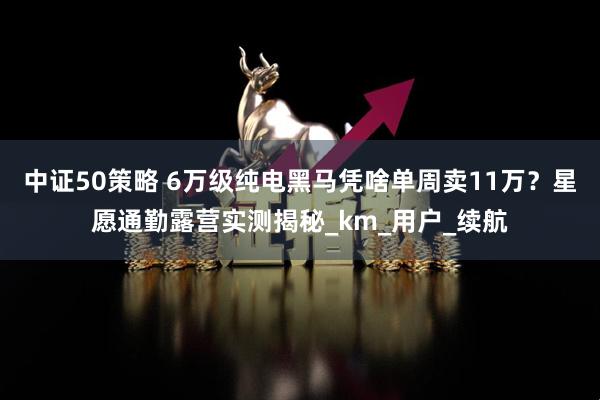 中证50策略 6万级纯电黑马凭啥单周卖11万？星愿通勤露营实测揭秘_km_用户_续航