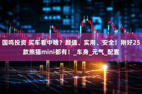 国鸣投资 买车看中啥？颜值、实用、安全！刚好25款熊猫mini都有！_车身_元气_配置
