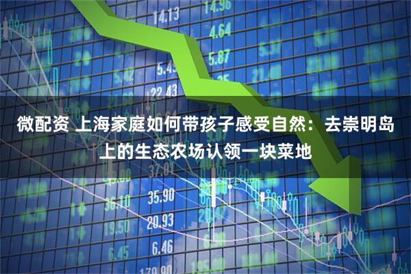 微配资 上海家庭如何带孩子感受自然：去崇明岛上的生态农场认领一块菜地