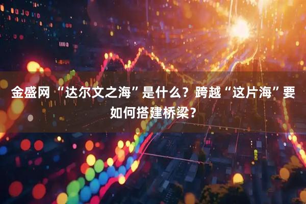 金盛网 “达尔文之海”是什么？跨越“这片海”要如何搭建桥梁？
