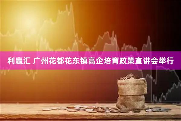 利赢汇 广州花都花东镇高企培育政策宣讲会举行